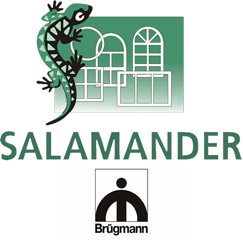 burgman salamander logo